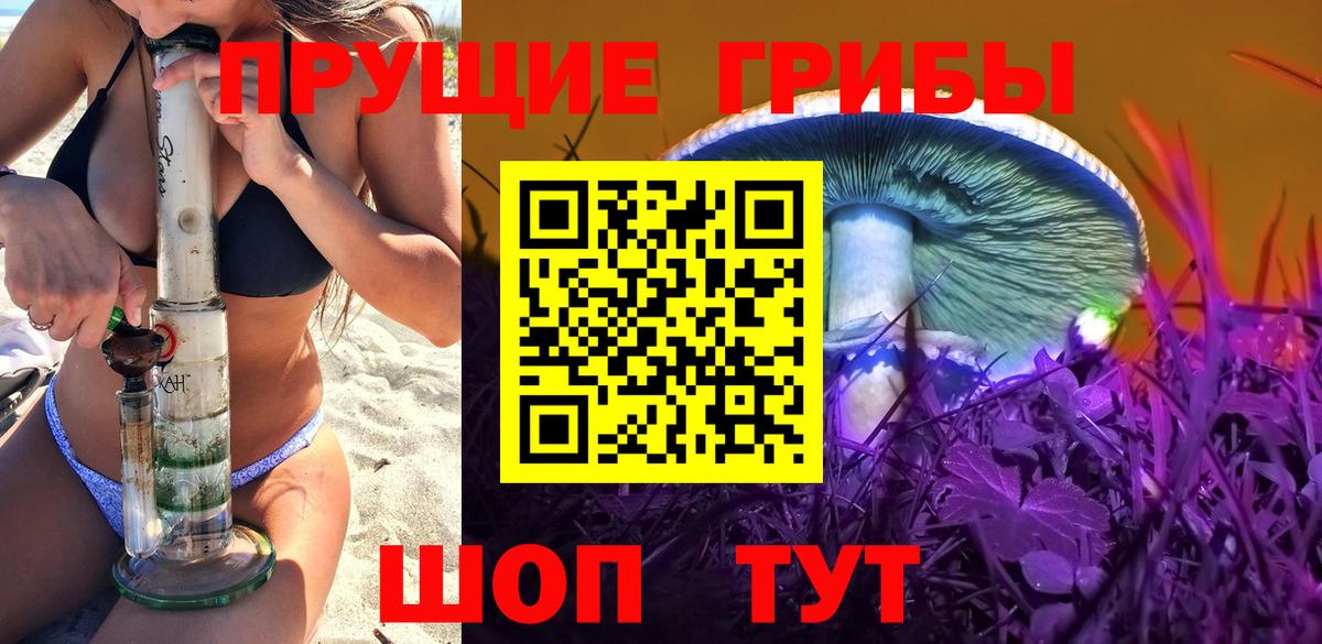 Псилоцибиновые грибы прущие грибы  Псилоцибиновые грибы мицелий  Вход с VPN  Вологда 