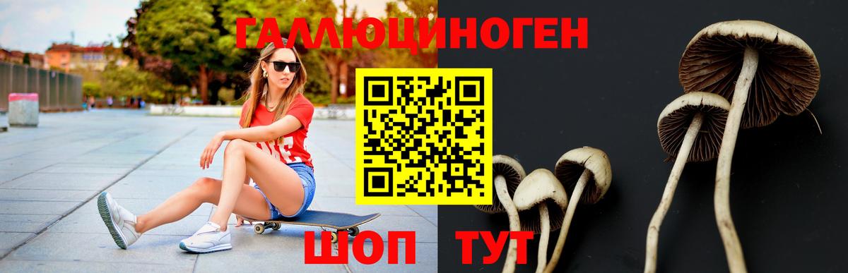 Галлюциногенные грибы ЛСД Вологда